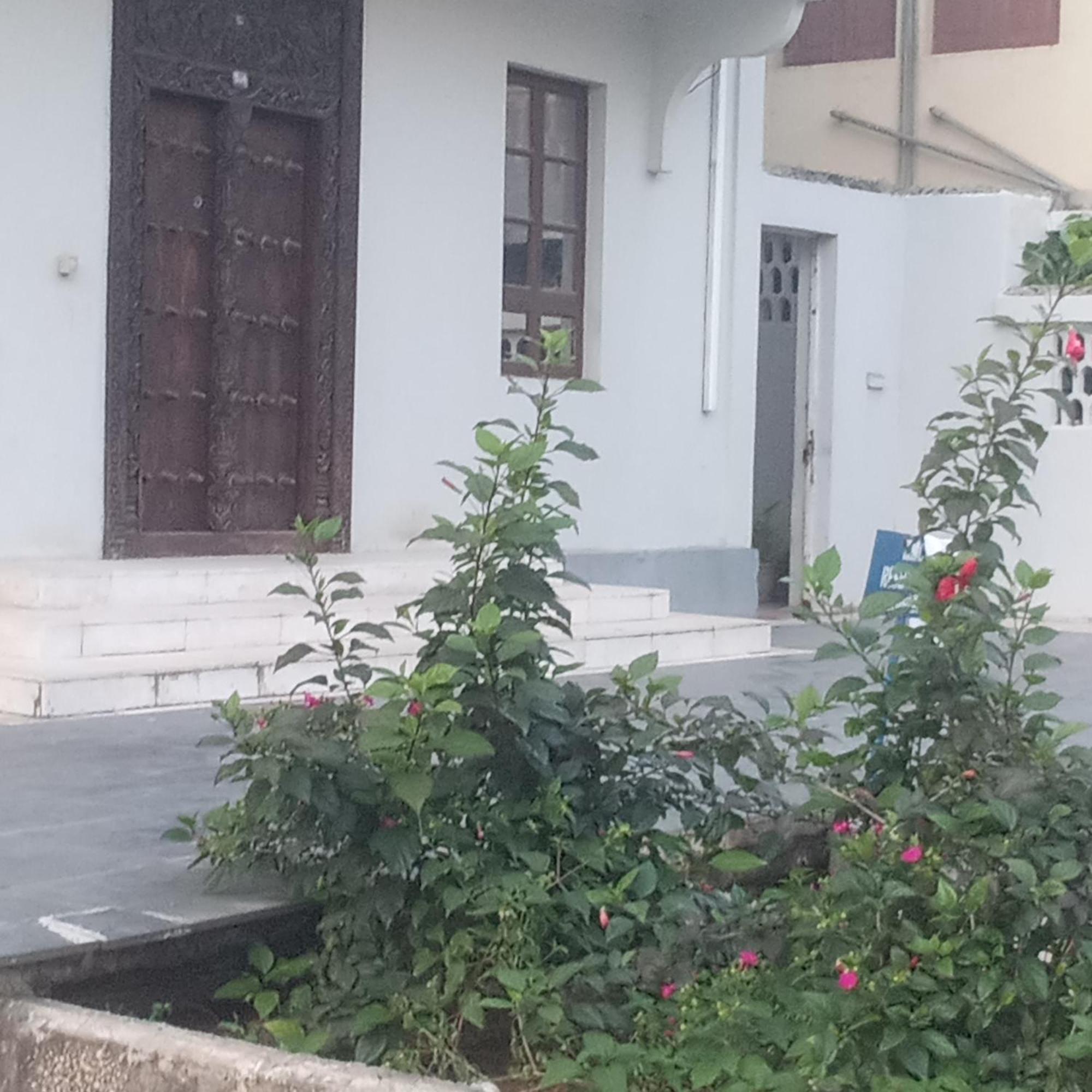 Apartament Daddy Cool Zanzibar